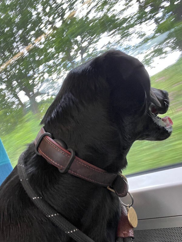 Ruby looking out of a train window